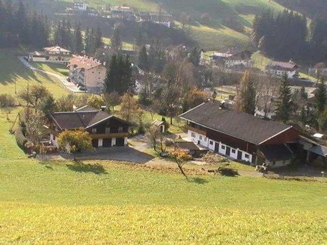 Trattenbachhof Scheffau am Wilden Kaiser Esterno foto